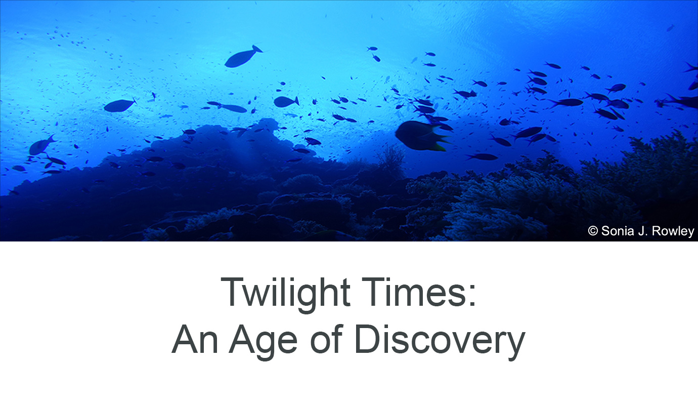 Twilight Times: An Age of Discovery